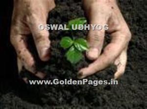 > </div>
<div class=